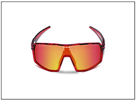 HALO SUNGLASSES